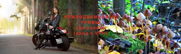 MDMA Новодвинск