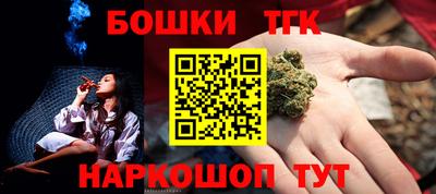 индика Гатчина