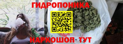 наркотики Гай