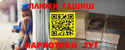 индика Гатчина