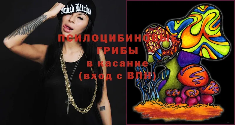 Галлюциногенные грибы Magic Shrooms  Зима 