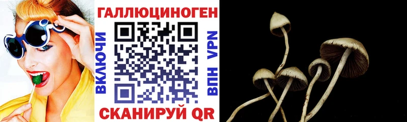 Псилоцибиновые грибы мухоморы  где продают наркотики  гидра ТОР  Зима 