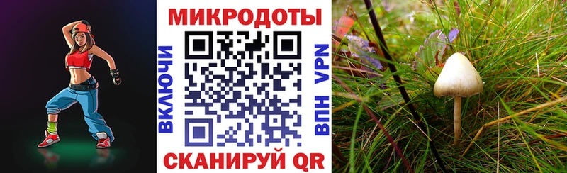 Псилоцибиновые грибы мухоморы Зима