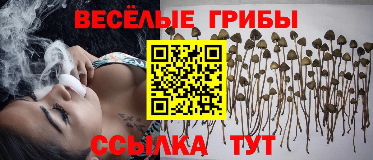 Галлюциногенные грибы Magic Shrooms Зима