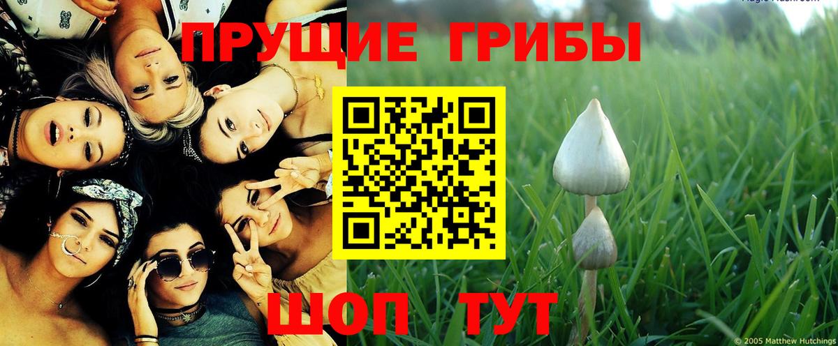 Псилоцибиновые грибы Cubensis  купить  цена  Галлюциногенные грибы Magic Shrooms  Зима  Вход с VPN 
