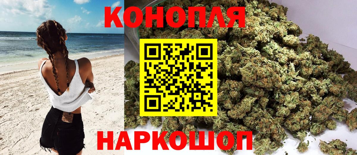 Конопля индика Зима